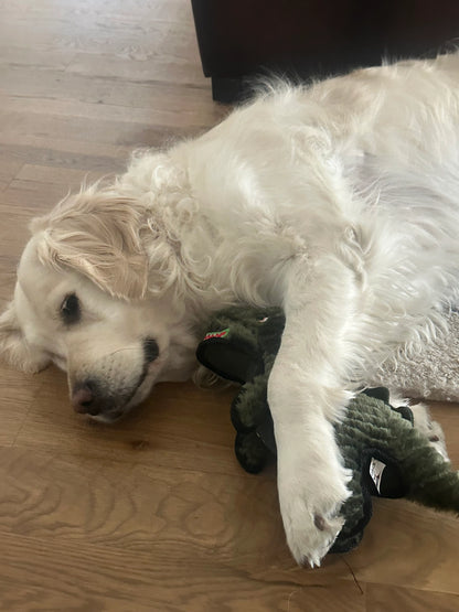NEW - Dog Toy - Ruffian Dino T-Rex