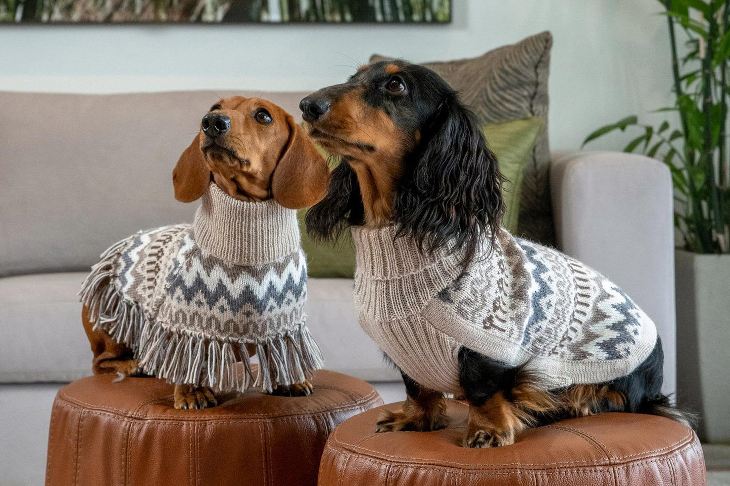 Dog Sweater - Woolly Winter Alpaca Dog Sweater