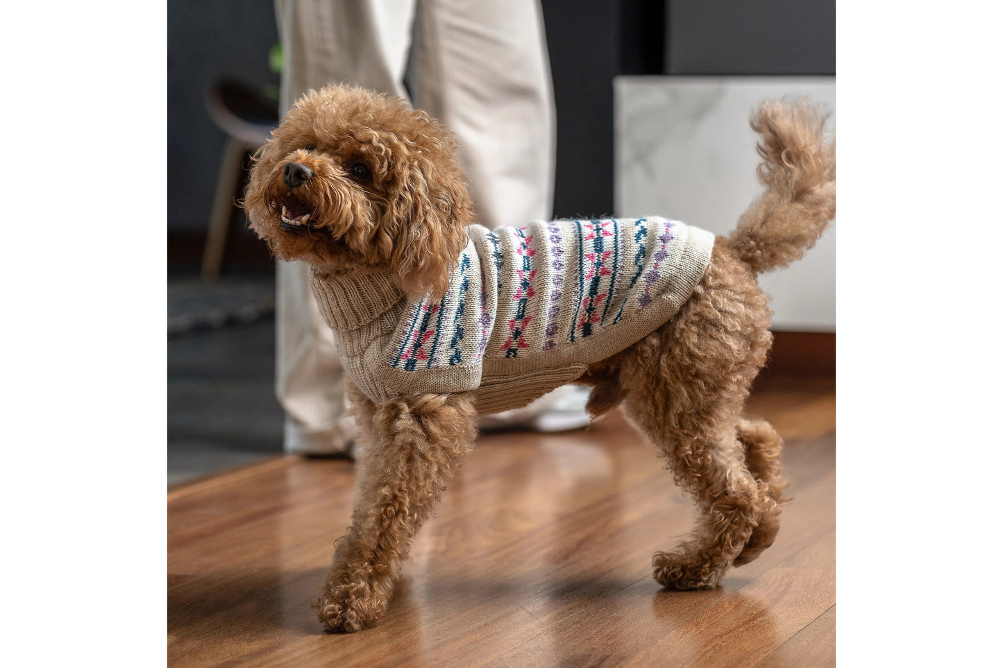 Dog Sweater - Serendipity Alpaca Dog Sweater