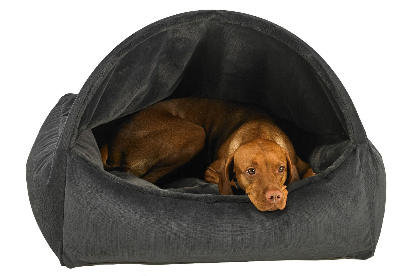Canopy Bed - Galaxy - Dog Bed