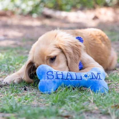 Hanukkah - Joy Vey Bone (Double Sided) - Dog Toy