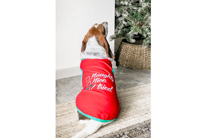 Christmas - Naughty or Nice - Dog Tee Shirt