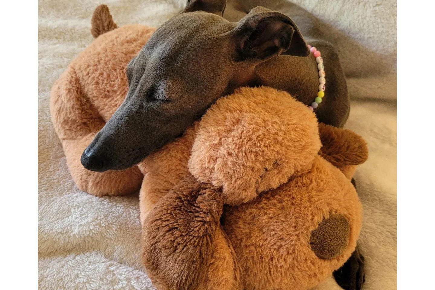 Dog Toy - Original Snuggle Puppy®, Biscuit