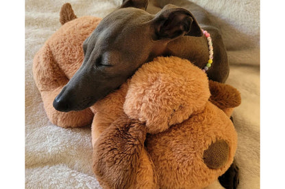 Dog Toy - Original Snuggle Puppy®, Biscuit