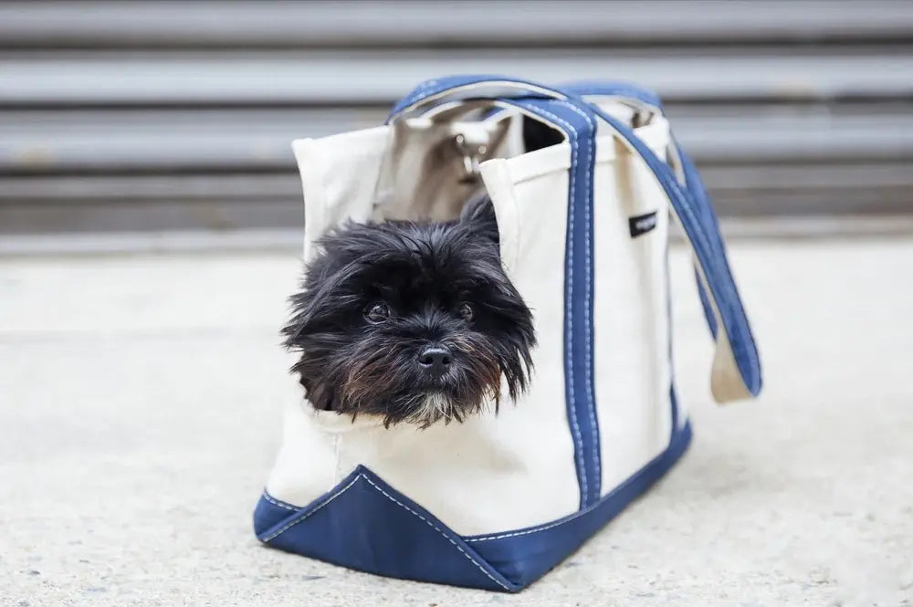 Canvas dog carrier tote clearance