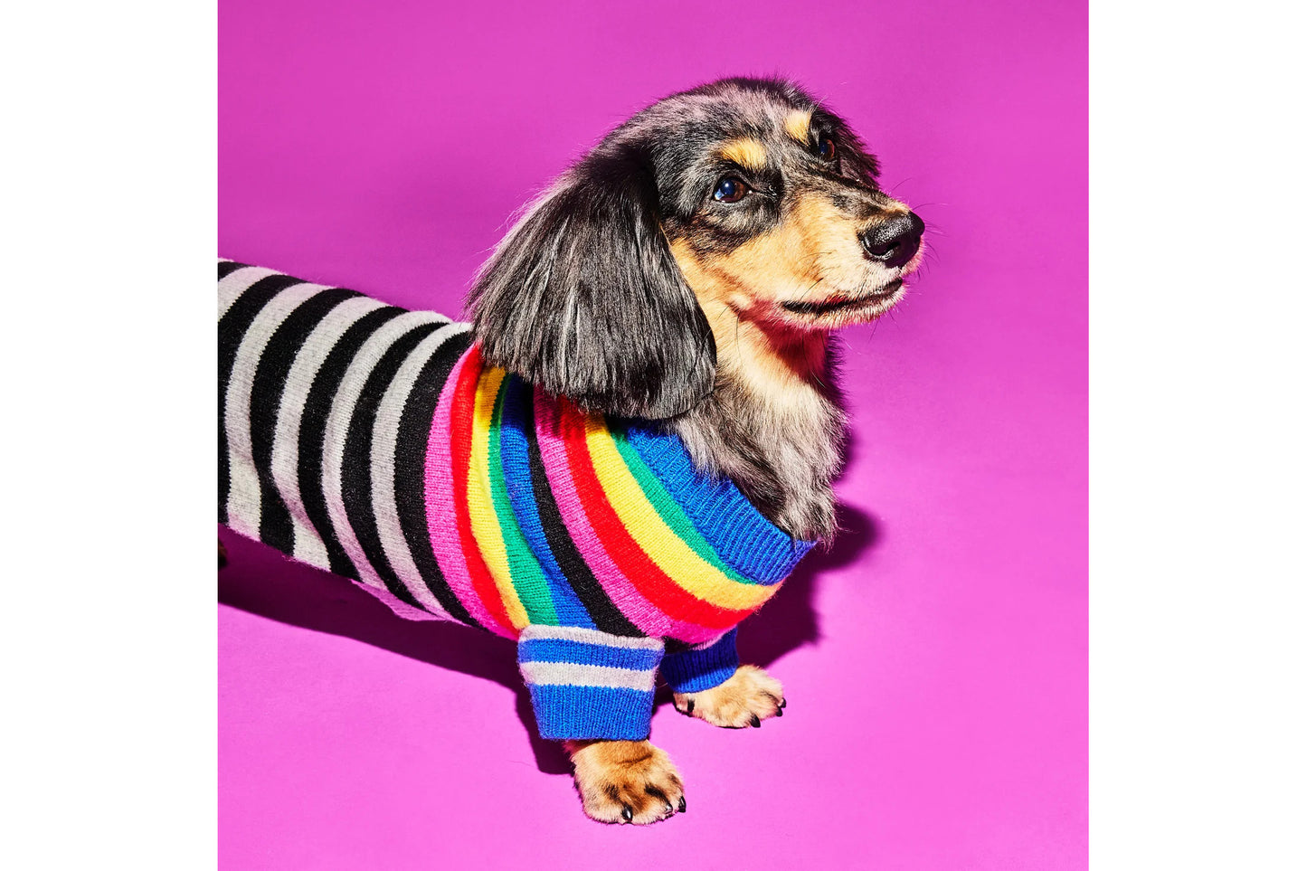 Dog Sweater - Mixed Up Stripes