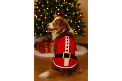Christmas - Holiday - Santa Dog Tee Shirt