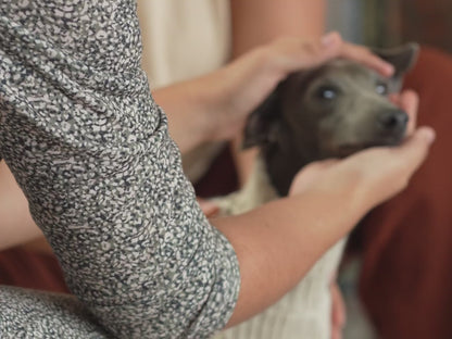 Dog Sweater - Woolly Winter Alpaca Dog Sweater