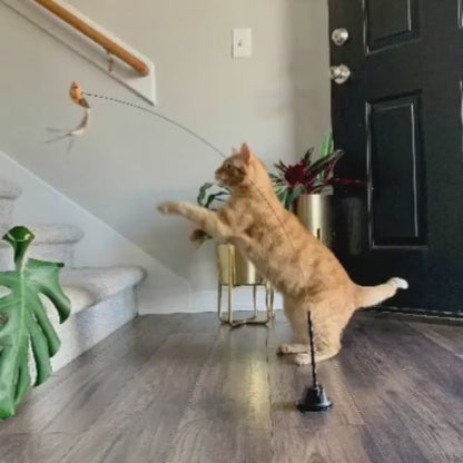 Cat Toy - Interactive Bird Simulation Cat Toy Set