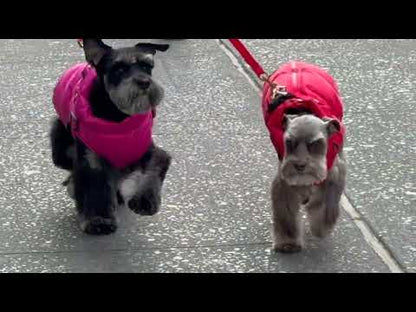 Down Harness Puffer Coat - 4 Color Options