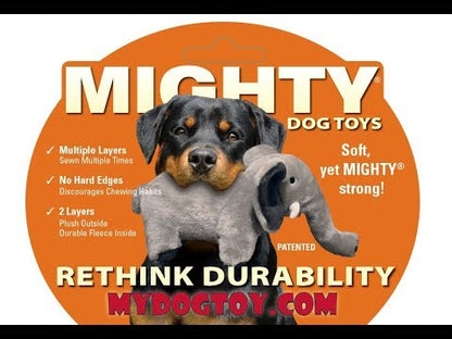 Mighty® Dinosaurs - Stegosaurus Squeaker - Dog Toy - 2 Sizes