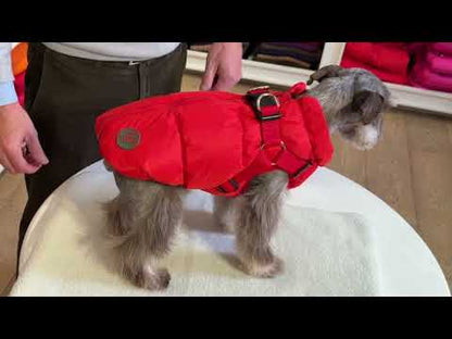 Down Harness Puffer Coat - 4 Color Options