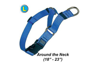 Cetacea Soft Martingale - Large