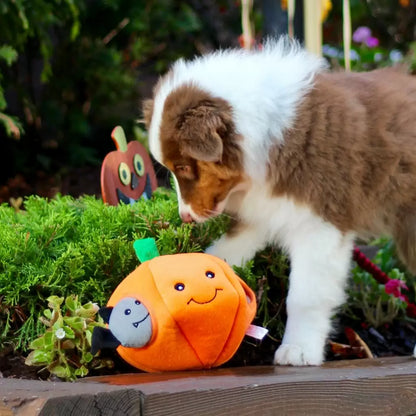 Halloween Burrow - Pumpkin with Bats - Interactive Dog Toy