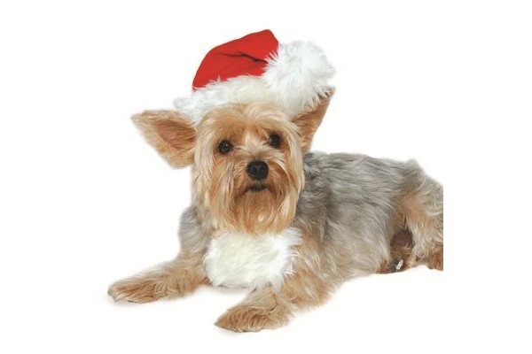 Christmas - Santa Hat