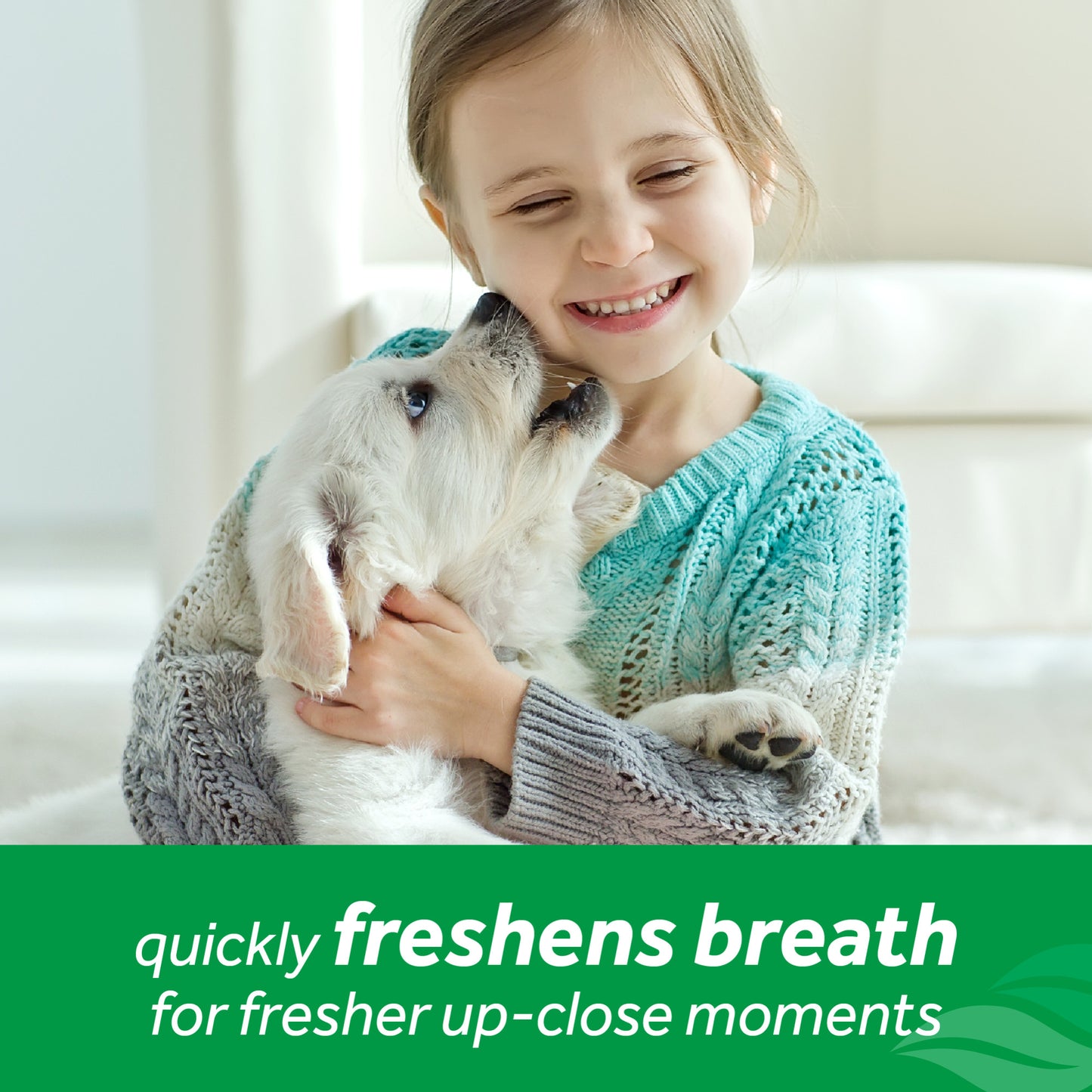 TropiClean Fresh Breath No Brushing Oral Care Foam 4.5 oz.
