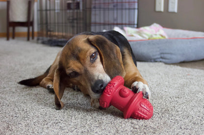 NEW - Dog Toy - The Hydrant - 2 Size Options