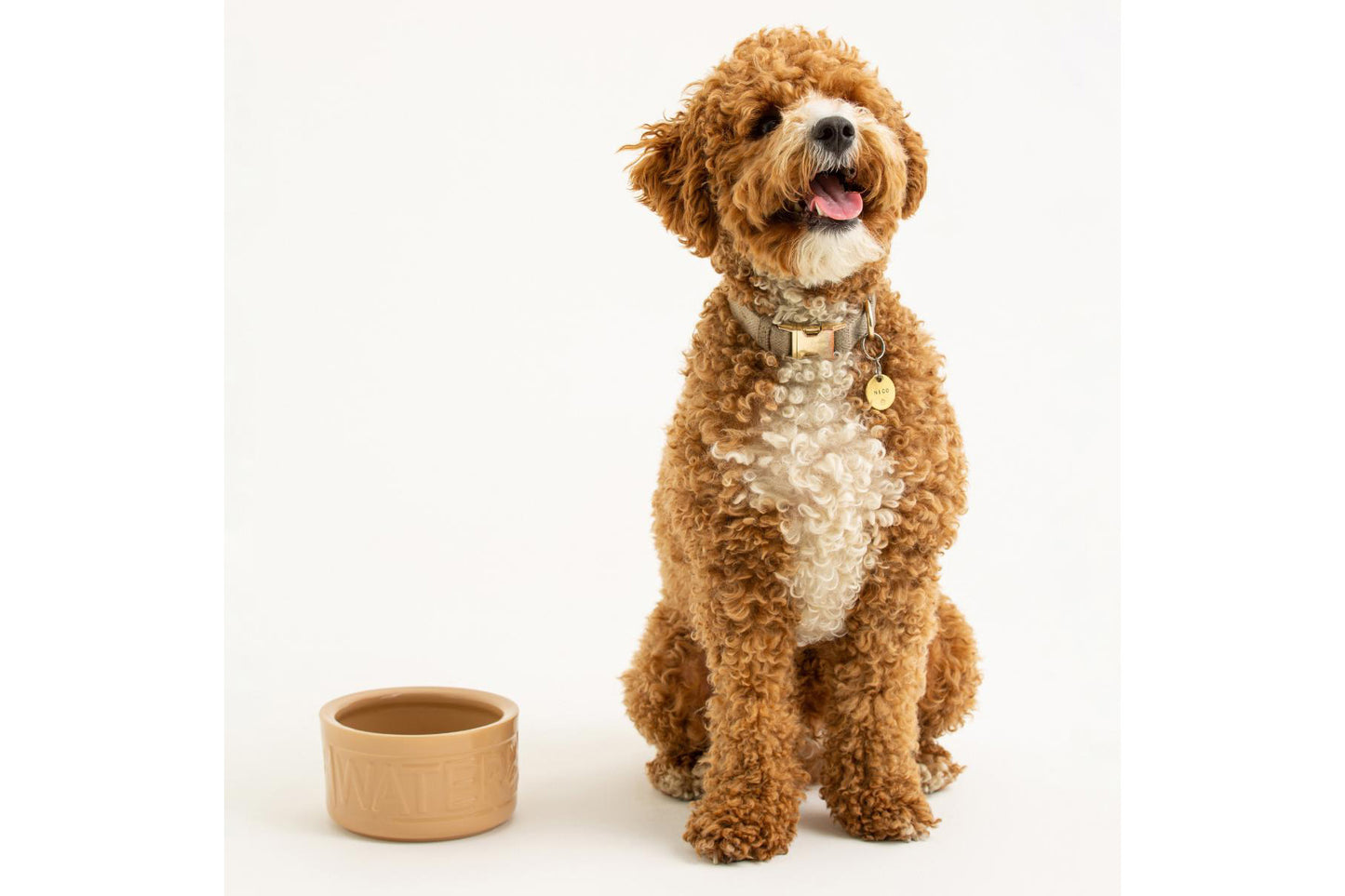 Classic Cane Lettered Water Bowl 5.9", 30oz