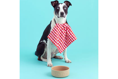 Classic Cane Lettered Dog Bowl 7", 40.6oz