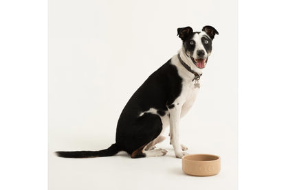 Classic Cane Lettered Dog Bowl 7", 40.6oz