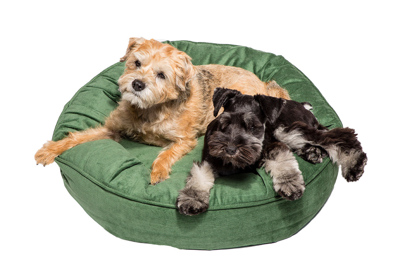 Canine Styles - Corduroy Mustard & Light Green - Dog Bed