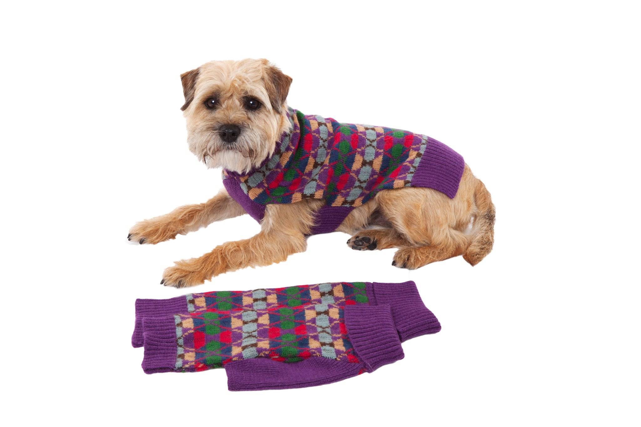 Wool Dog Sweater - Highlands Purple