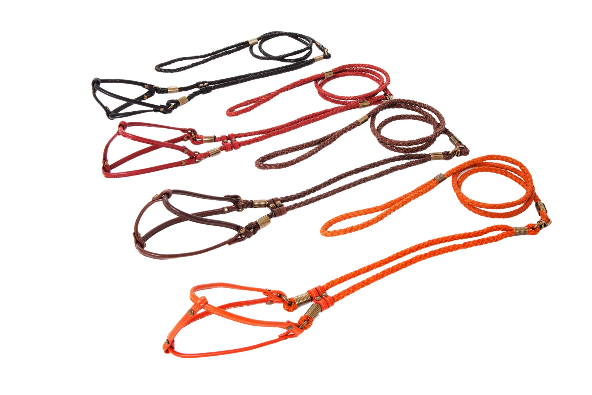 Braided & Flat Leather Step-In Harness - All-in-One Lead & Harness - 4 Color Options