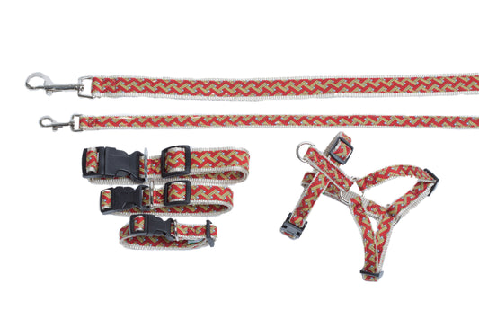 Designer Collection - Dog Collars, Harnesses, & Leads - Orange Tuscan