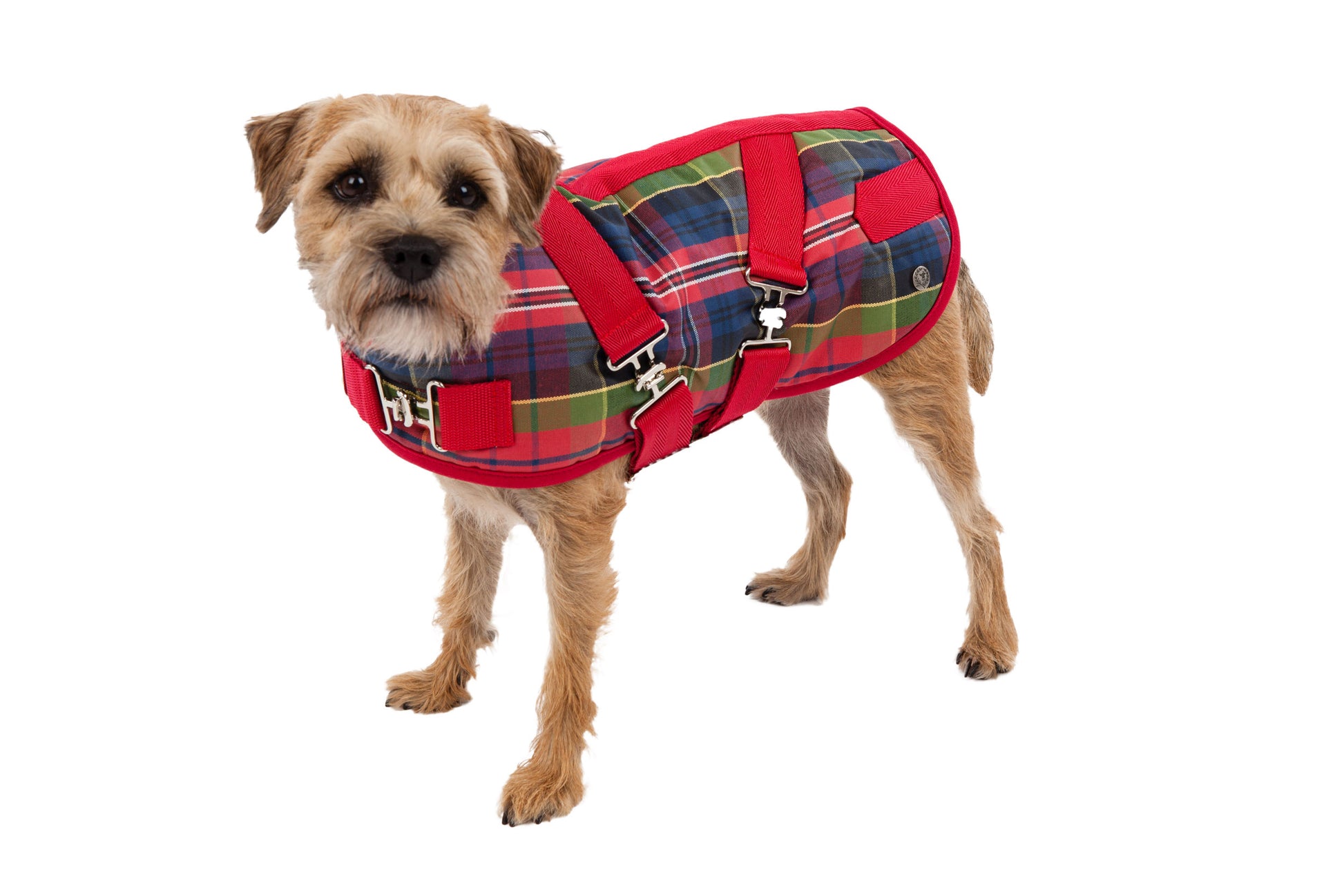 Dog Coat Red or Green Tartan Horse Blanket CanineStyles est