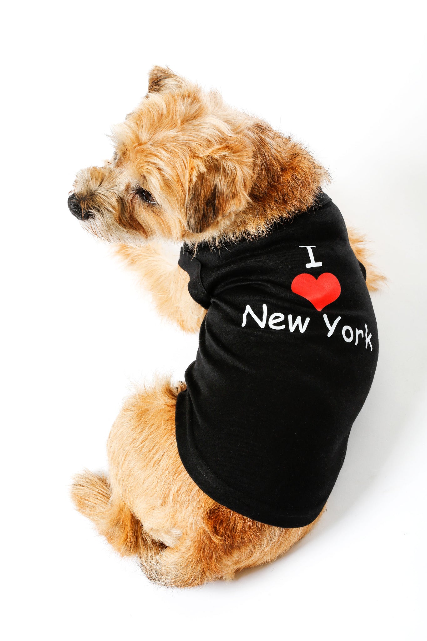 Muscle Tees - I Love New York - Dog Shirt