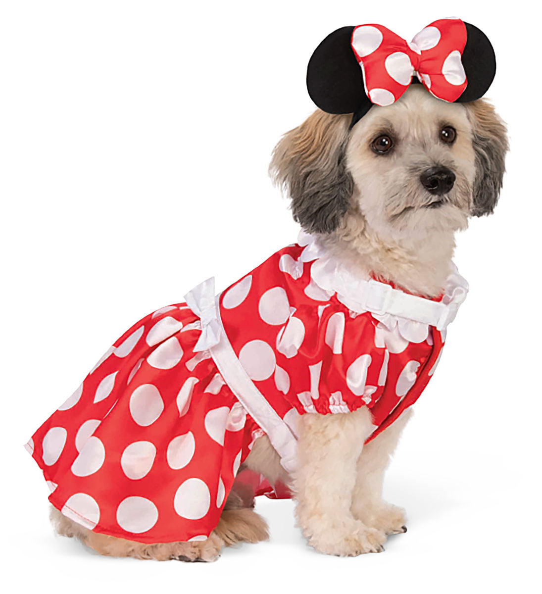 Dog Halloween Costumes | Minnie Mouse