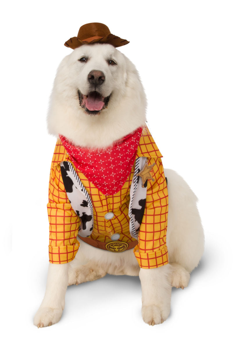 Dog Halloween Costumes | Woody Toy Story