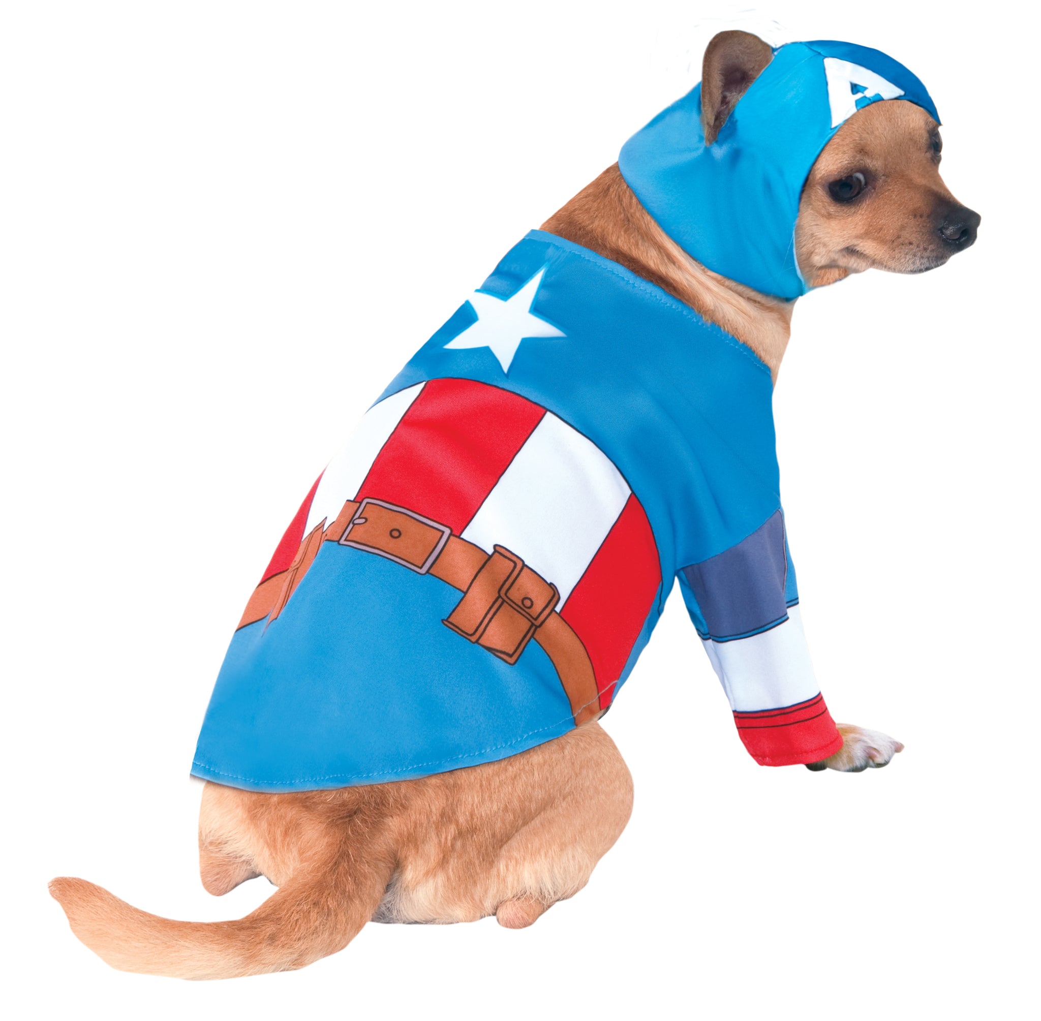 Dog Halloween Costumes | Iron Man