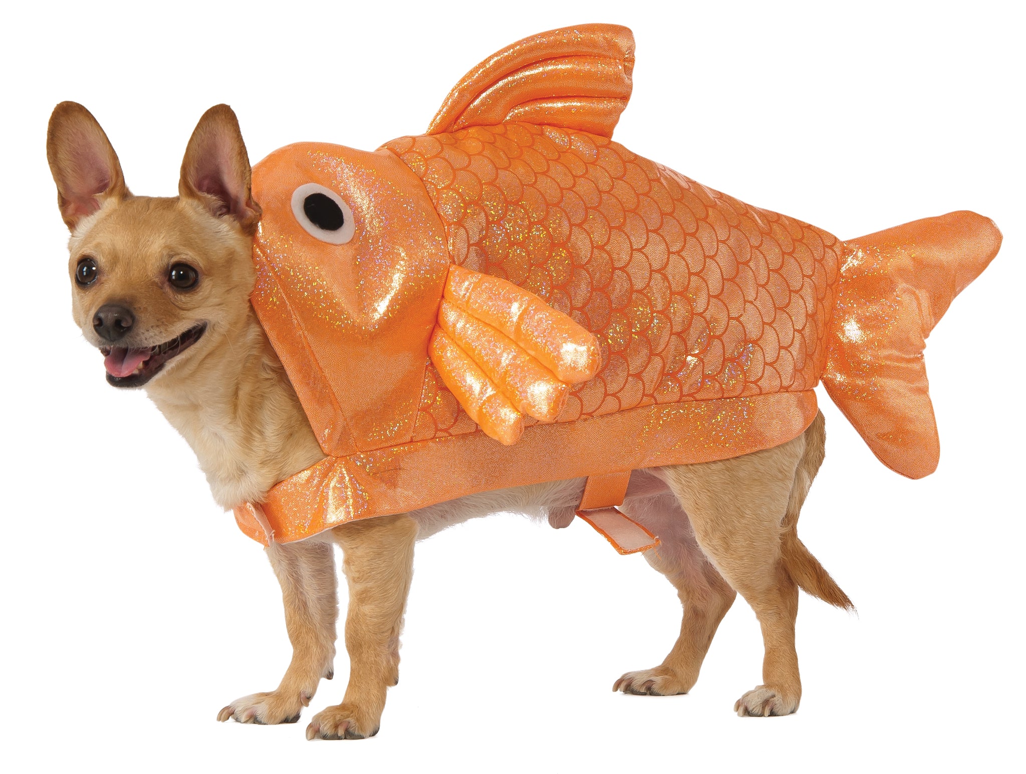Rubie's Gold Fish Dog Costume