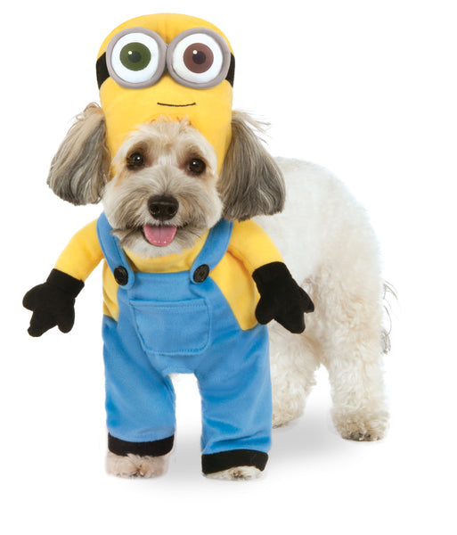 Dog Halloween Costumes | Minion Bob