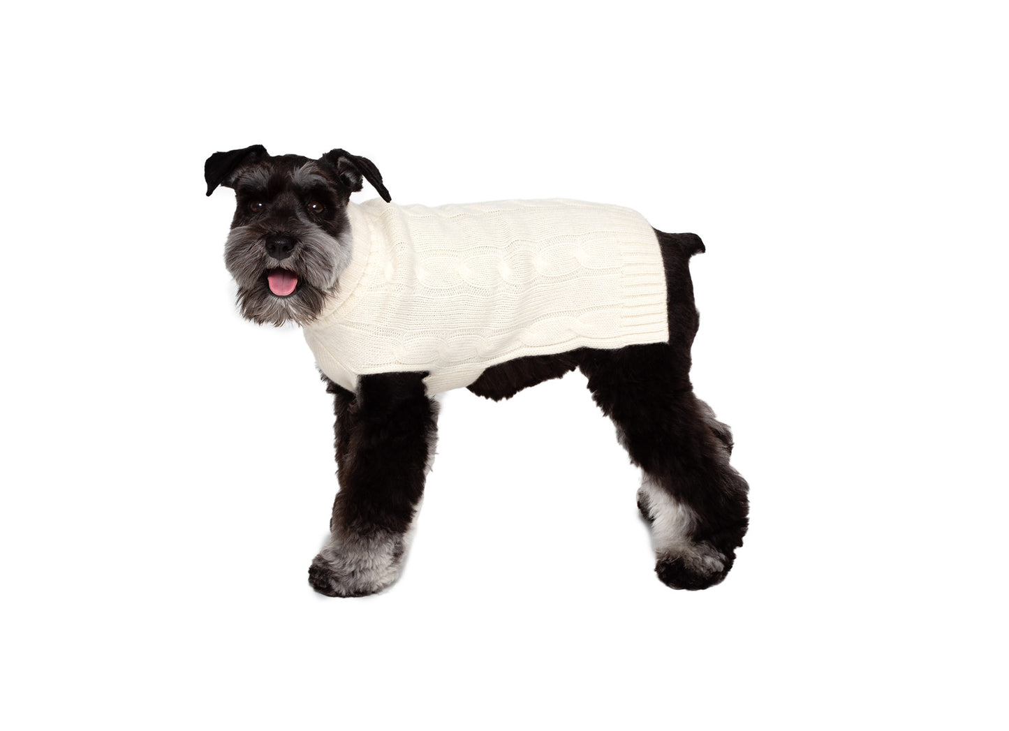 Cashmere Dog Solid Sweater - Navy, Winter White & Heather Burgundy