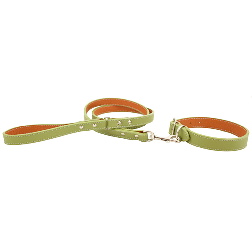 Auburn Dog Lead - Soft Leather - 11 Color Options - 4Ft, 5Ft & 6Ft