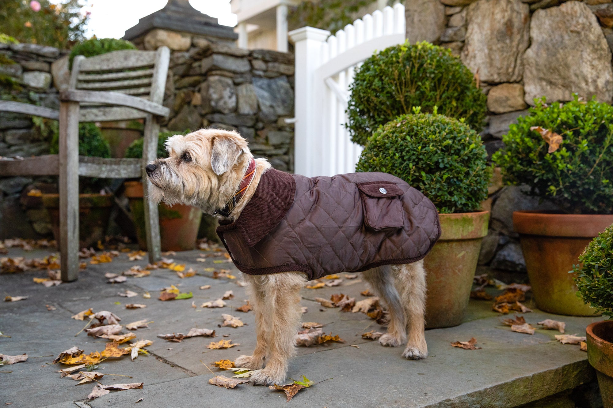 Barn Dog Coat, Quilted, Light weight & Water Resistant