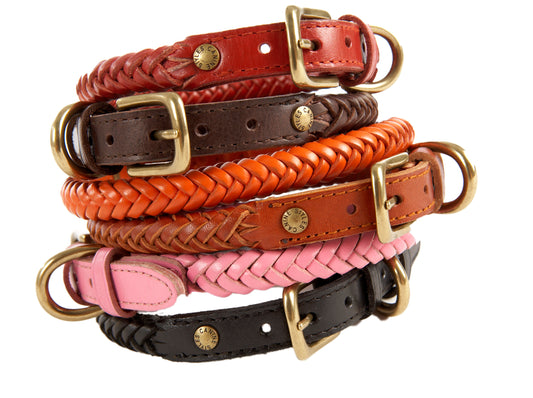 Braided Leather - Dog Collar | 5 Color Options