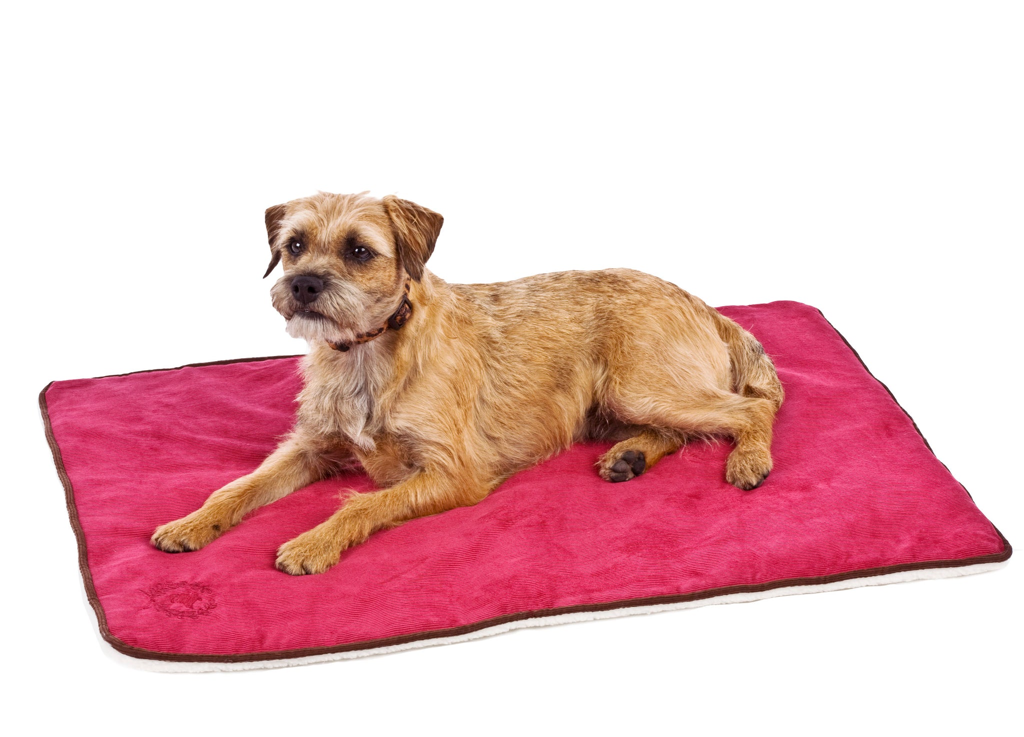 Canine Styles - Corduroy - Crate Mat - 8 Color Options