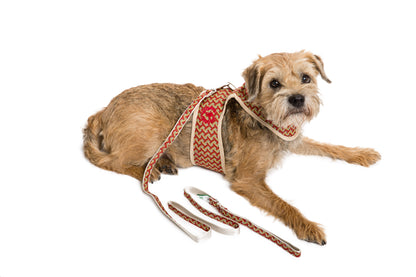 CS Designer Collection - Dog Harness Vest- Sherpa LINED Body - Lead Additional-3 Color Options