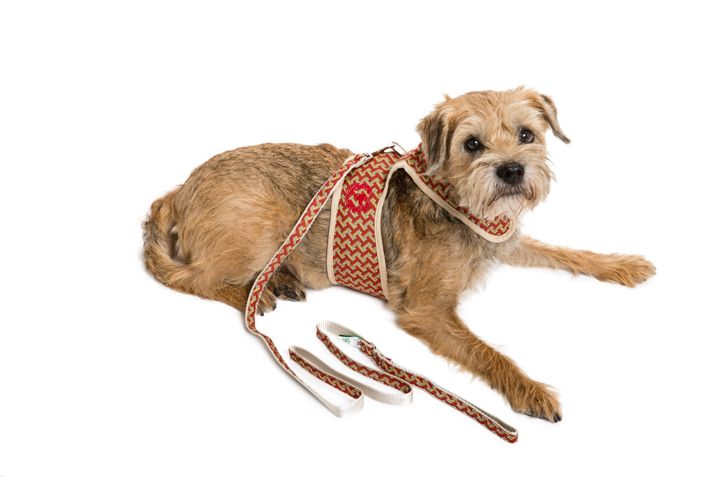 Designer Collection - Dog Harness Vest- Sherpa LINED Body - Lead Additional -3 Color Options