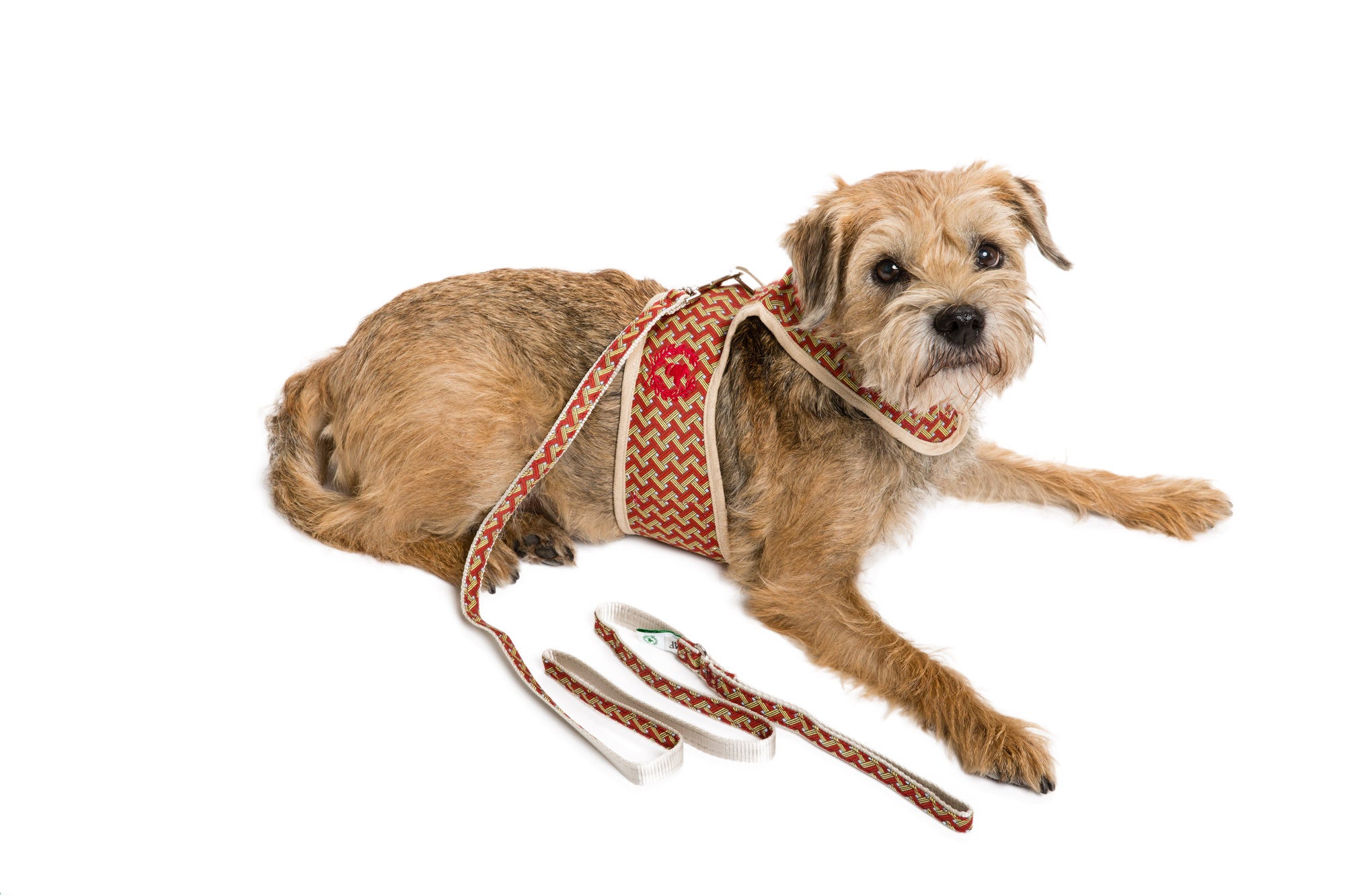 Signature Collection - UNLINED Dog Body Harnesses - Leads Additional - 3 Options