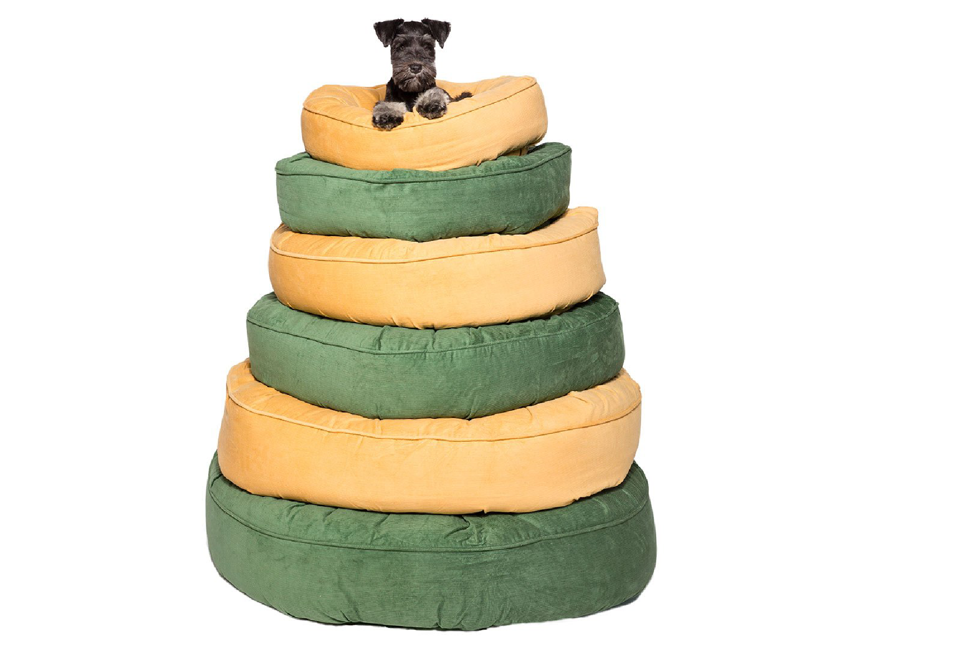 Canine Styles - Corduroy Mustard & Light Green - Dog Bed