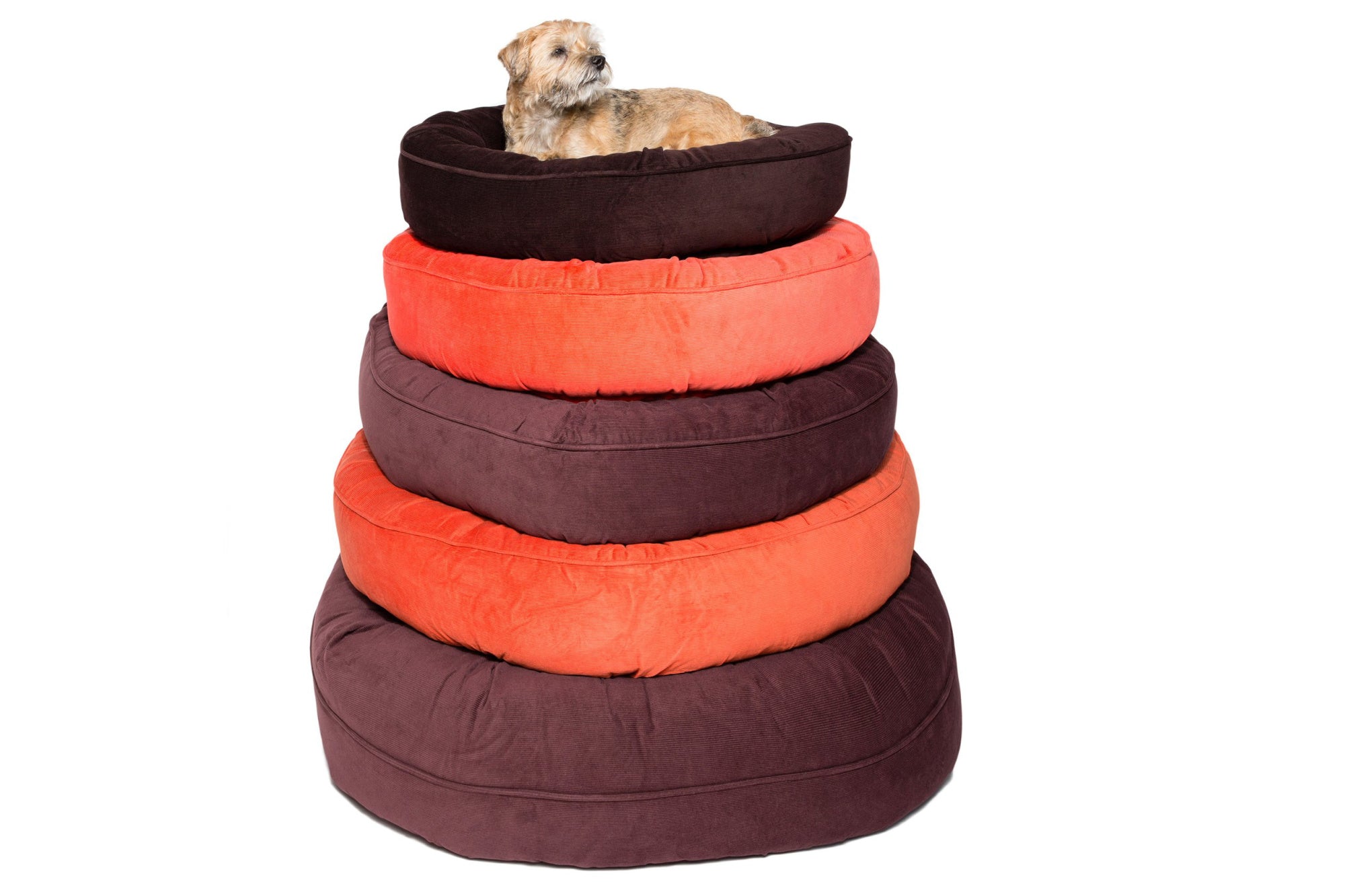 Canine Styles - Corduroy Chocolate Brown or Orange - Dog Bed