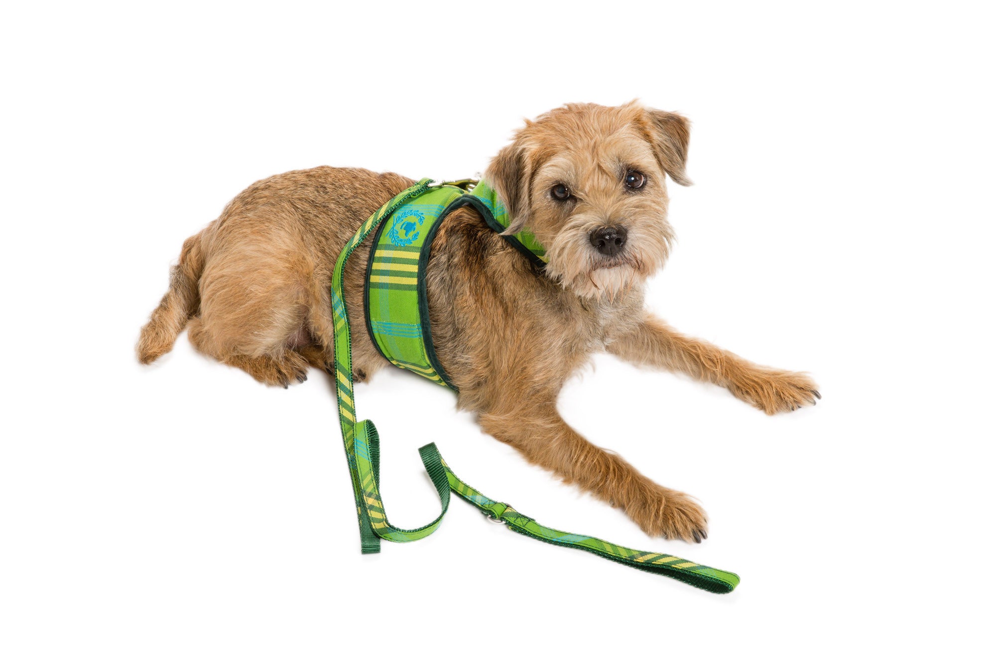 Signature Collection - Dog Body Harness Vest  - UNLINED Cotton - Lead Additional/4 Color Options