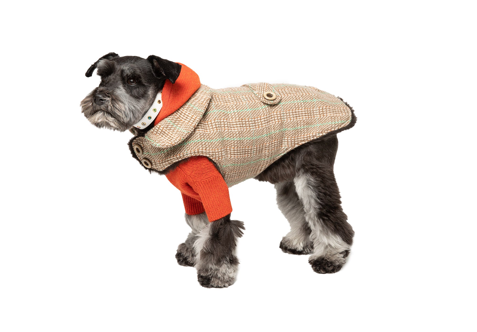 Cashmere Dog Coat - Faux Fur Lining - Beige & Green Plaid