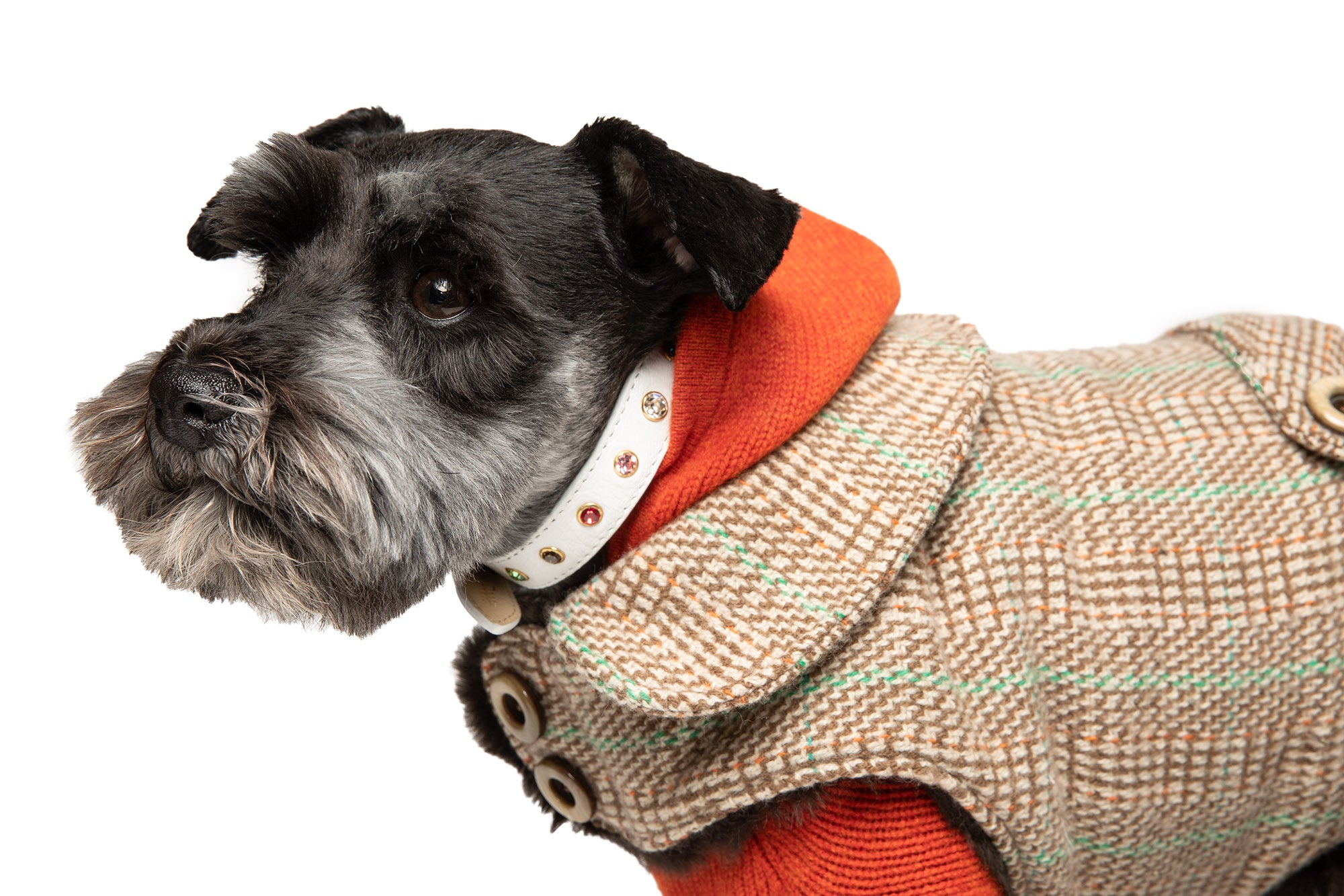 Cashmere Dog Coat - Faux Fur Lining - Beige & Green Plaid