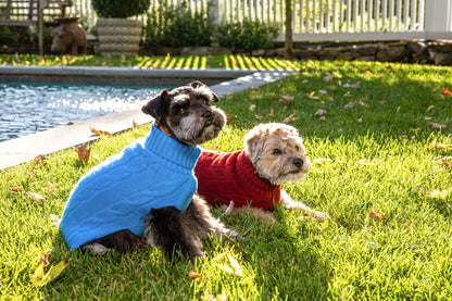 Cashmere Dog Solid Sweater - Canine Styles 4 Color Options