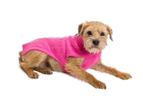 Cashmere Dog Solid Sweater - Hot Pink & Purple